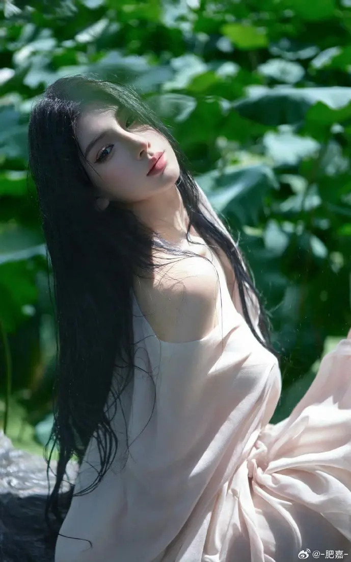 动漫下载数据对比